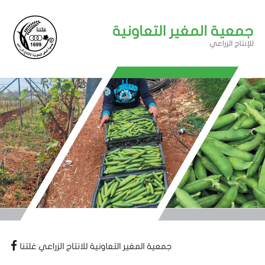 جمعية المغير التعاونية