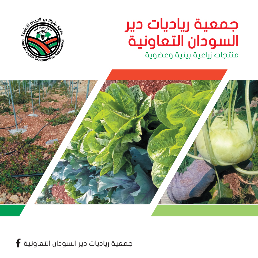 جمعية رياديات دير السودان التعاونية